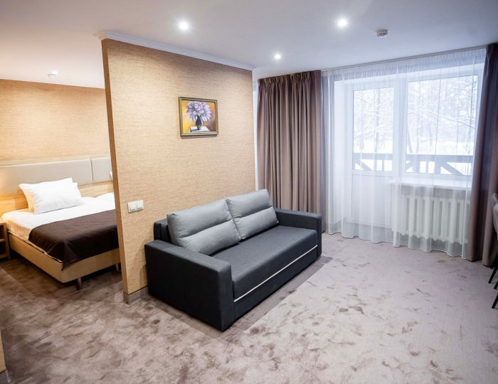 Студио VIP1 (1 корпус) - SPA санаторий «Солотча»